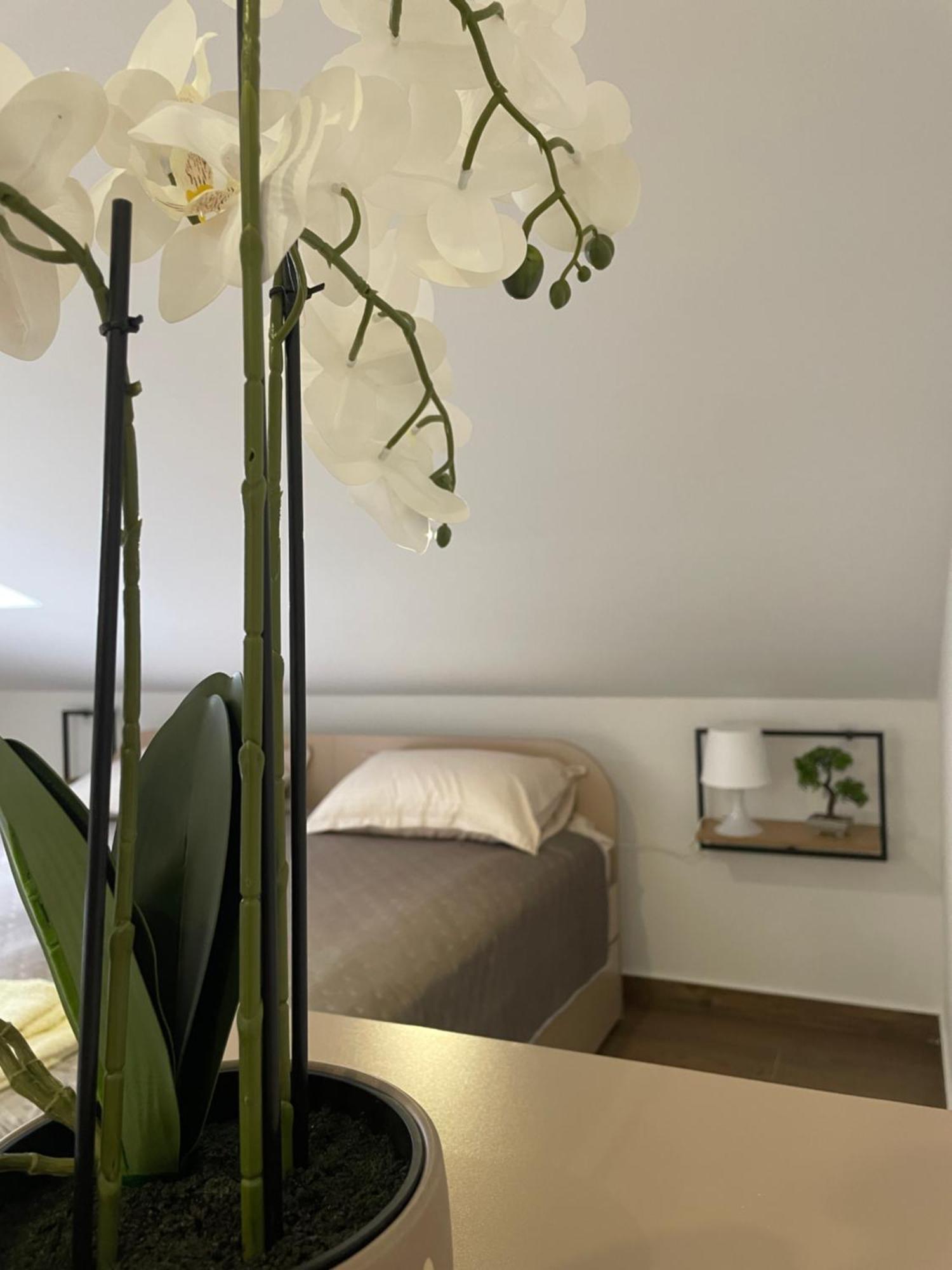 Joy Apartment 6 Belgrád Kültér fotó