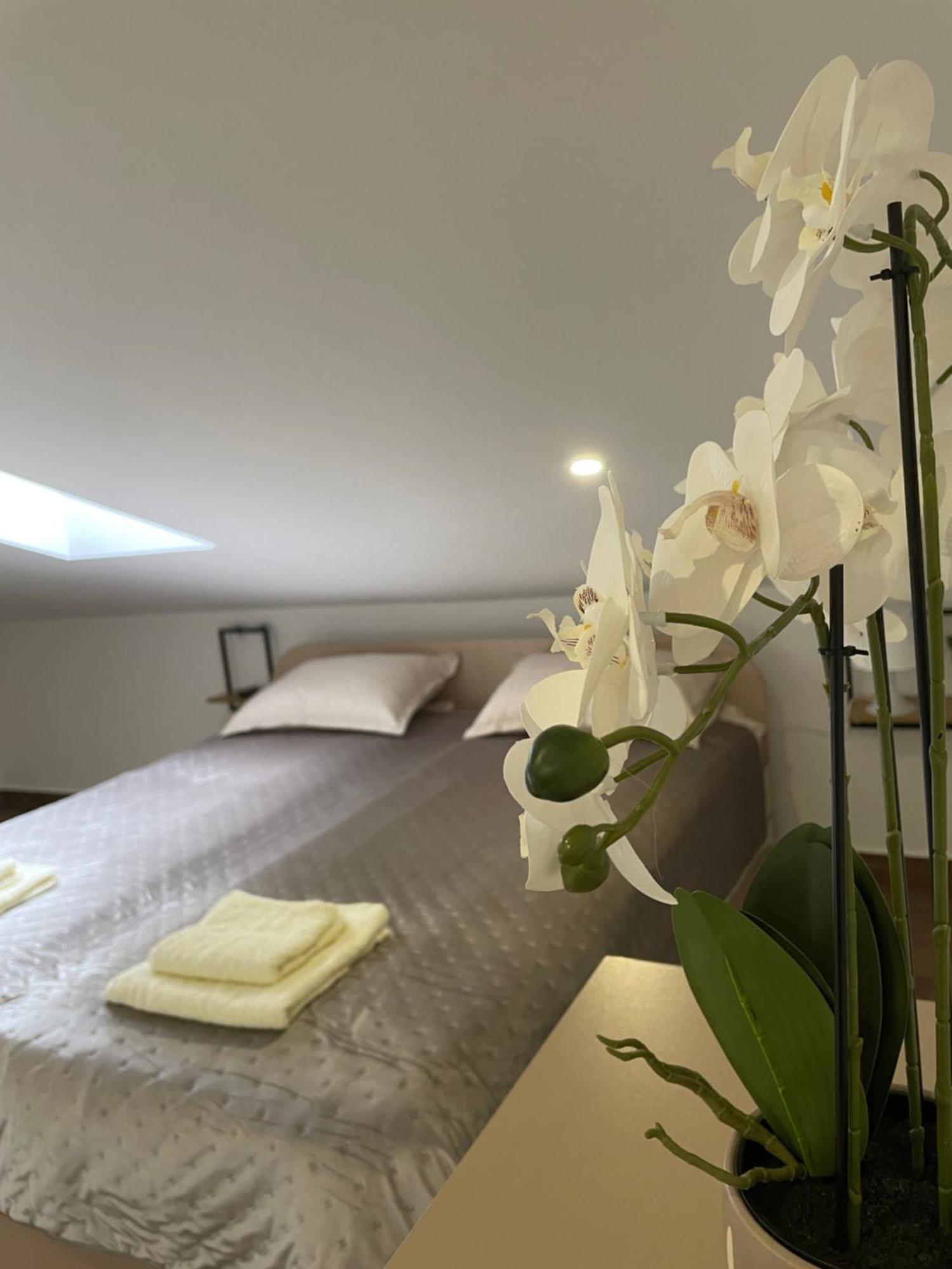 Joy Apartment 6 Belgrád Kültér fotó
